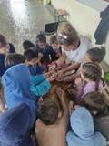 U09- Games of Peloponissos Group.