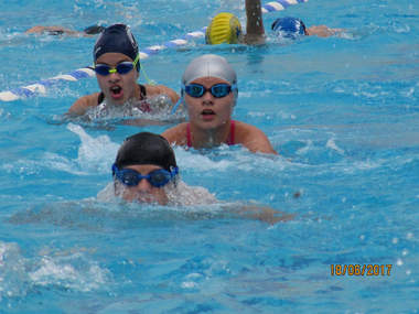 NOΠ: Κολύμβηση –Προαγωνιστική ομάδα. Πανελλήνιοι αγώνες 9-10-11 κ΄12 ετών – Αθήνα 16-18/06. Τα τελικά αποτελέσματα για την αποστολή του ΝΟΠ