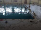 Swimming for the public