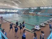 Women's Polo. NOP remains in B League
