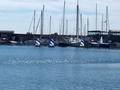 Κωπηλασία : Παρουσία του ΝΟΠ στην Γενική Συνέλευση της ΕΚΟΦΝΣ