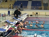 NOP - Swimming. Christmass Cup, December 2021