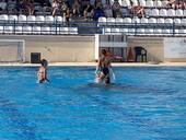 Aristic swimming: Summer performance