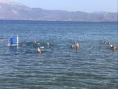 Πάτραθλον 2024 στην Πλαζ Η εντυπωσιακή και αξιέπαινη πρωτοβουλία!