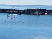 Κωπηλασία : Παρουσία του ΝΟΠ στην Γενική Συνέλευση της ΕΚΟΦΝΣ